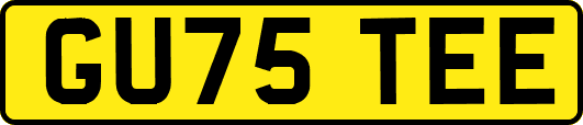 GU75TEE