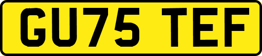 GU75TEF
