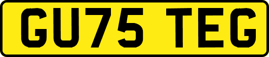 GU75TEG