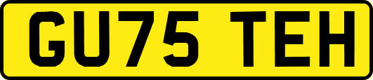 GU75TEH