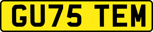 GU75TEM