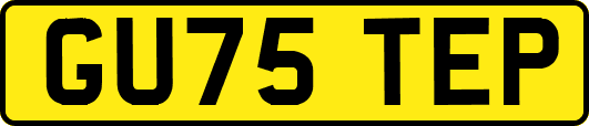 GU75TEP
