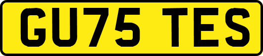 GU75TES