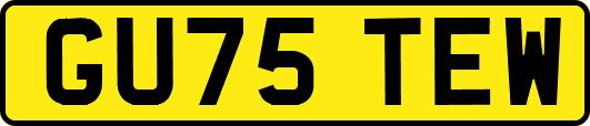 GU75TEW