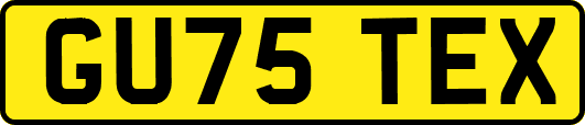 GU75TEX