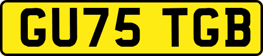 GU75TGB
