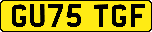 GU75TGF