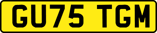 GU75TGM