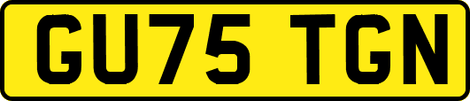 GU75TGN