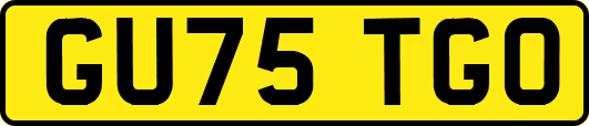 GU75TGO