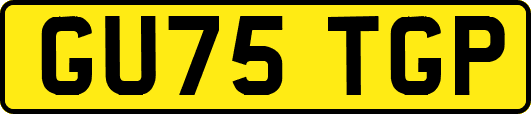 GU75TGP