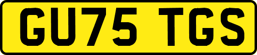 GU75TGS