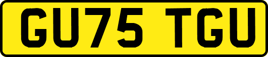 GU75TGU