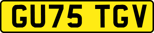GU75TGV