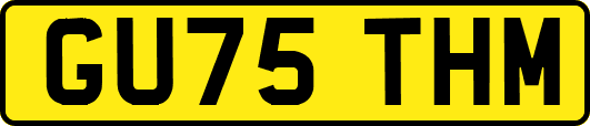 GU75THM