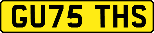 GU75THS