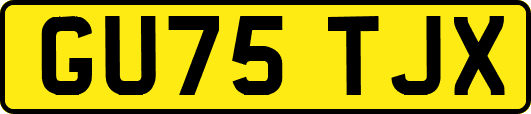 GU75TJX