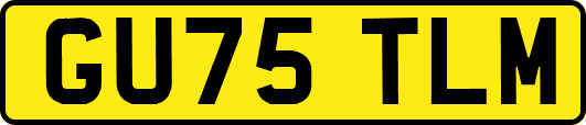 GU75TLM