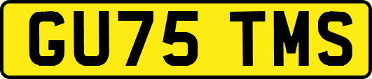 GU75TMS