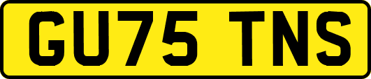 GU75TNS