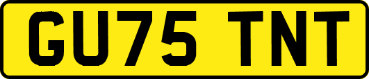 GU75TNT