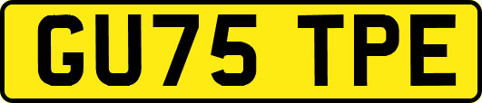 GU75TPE