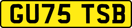 GU75TSB
