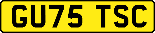 GU75TSC