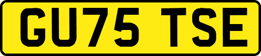 GU75TSE