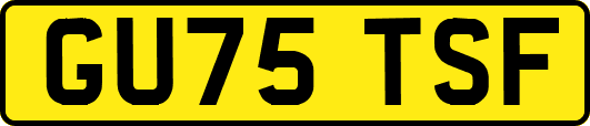 GU75TSF