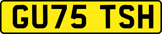 GU75TSH
