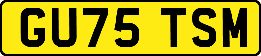 GU75TSM