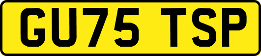 GU75TSP