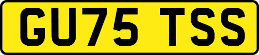 GU75TSS