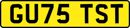 GU75TST
