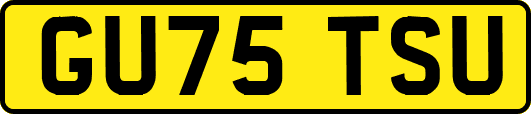 GU75TSU