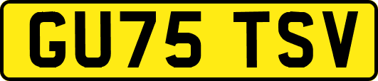 GU75TSV