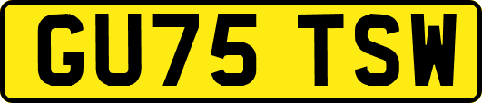GU75TSW