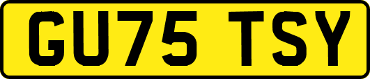 GU75TSY