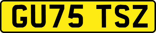 GU75TSZ