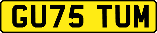 GU75TUM