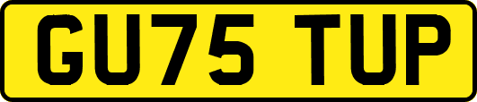 GU75TUP