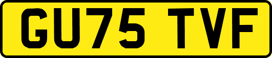 GU75TVF