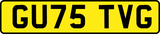 GU75TVG