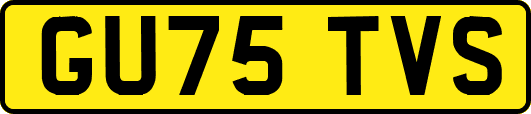 GU75TVS