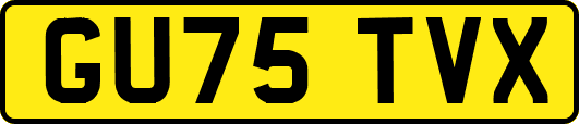 GU75TVX