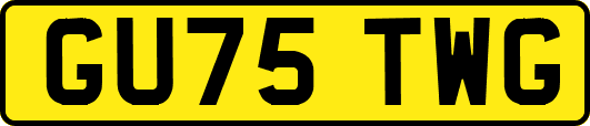 GU75TWG