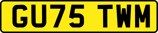 GU75TWM