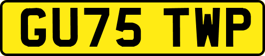 GU75TWP