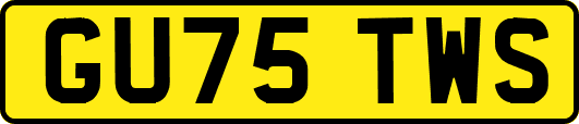 GU75TWS